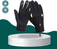 ThermoGuard Smart Winter Gloves